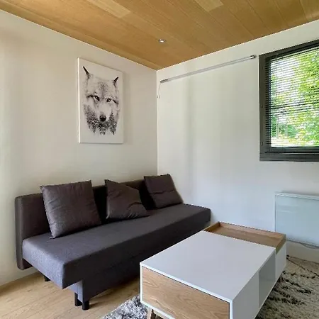Studio Renove Avec Terrasse Sud Idealement Situe Combloux Exterior foto