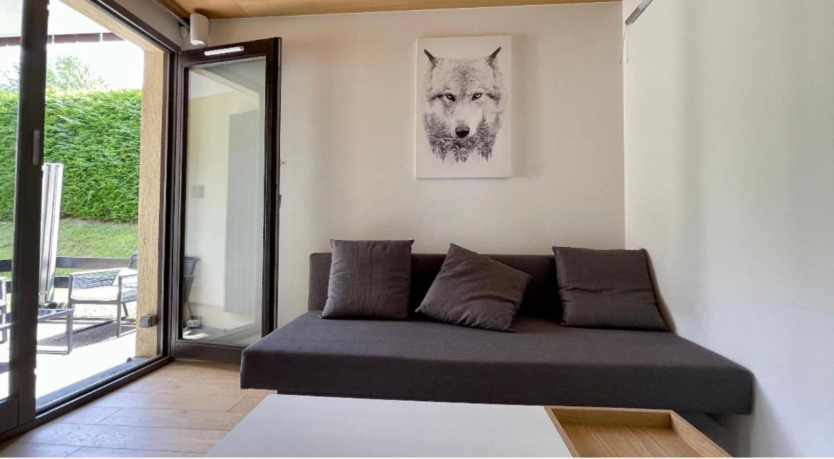Renove Avec Terrasse Sud Idealement Situe Combloux